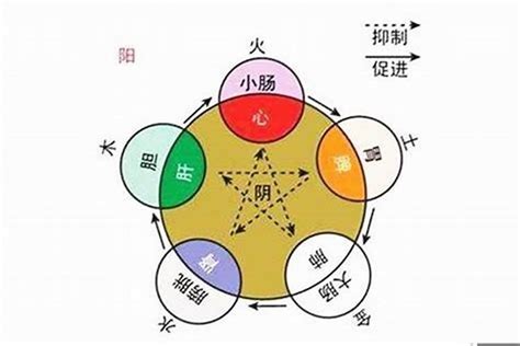 五行人怎麼看|如何知道一個人的五行屬什麼 